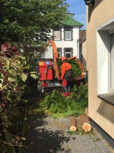 Baumpflege-Schroeder-Galerie-11