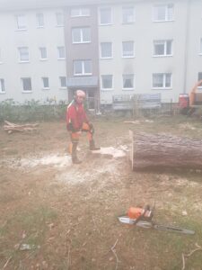 Baumpflege-Schroeder-Galerie-6